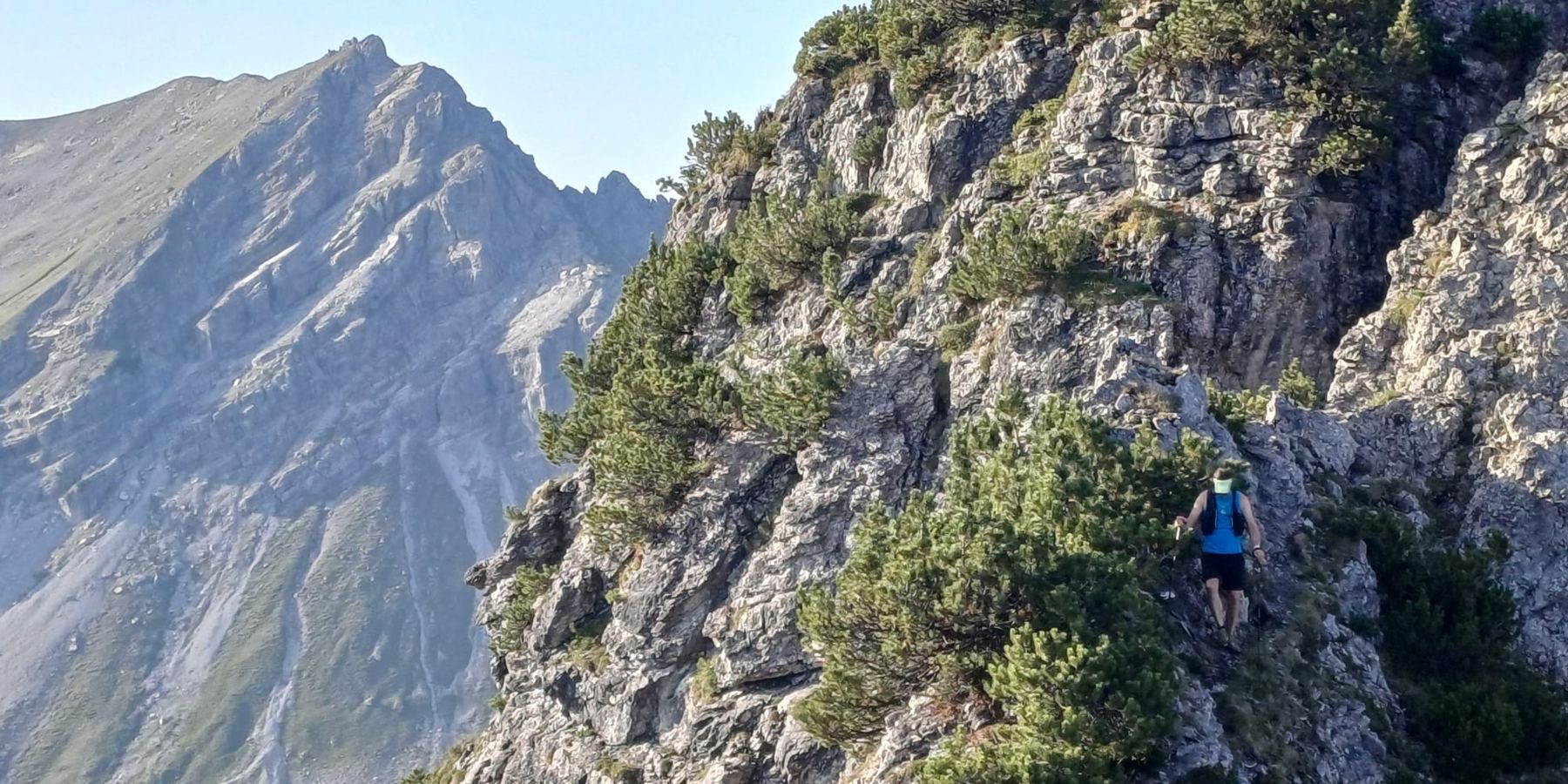 Rob op een rotsige bergkam, met een bergtop op de achtergrond